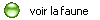 voir la faune