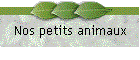 Nos petits animaux