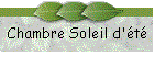 Chambre Soleil d't