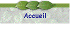 Accueil